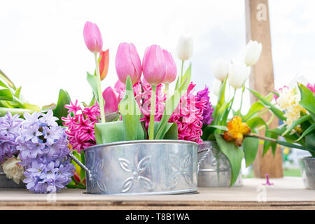 Tin Pot à fleurs avec un arrangement floral de tulipes et d'autres variétés de fleurs en rose, blanc, jaune et vert lumineux des tiges. Images de Pâques. Banque D'Images