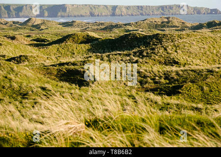 Vues sur Broughton et Llangennith Burrows vers Rhossili et vers la tête, la péninsule de Gower. Banque D'Images