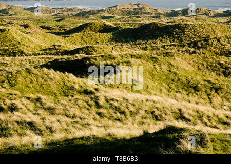 Vues sur Broughton et Llangennith Burrows vers Rhossili et vers la tête, la péninsule de Gower. Banque D'Images