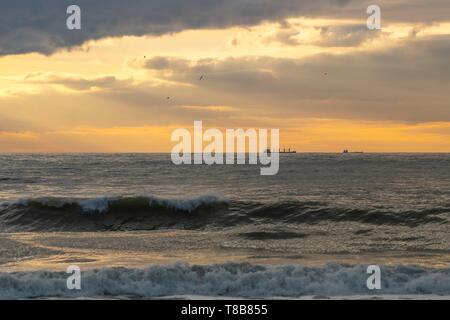 La France, Pas de Calais, Côte d'Opale, de la Baie d'Authie, Ambleteuse, le passage des cargos et porte-conteneurs dans le canal au coucher du soleil Banque D'Images