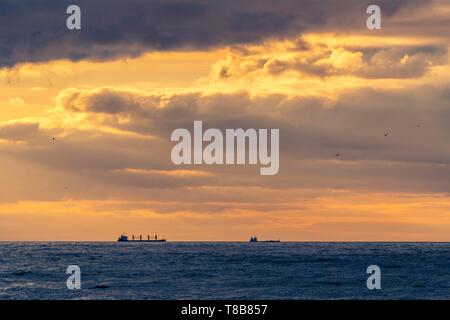 La France, Pas de Calais, Côte d'Opale, de la Baie d'Authie, Ambleteuse, le passage des cargos et porte-conteneurs dans le canal au coucher du soleil Banque D'Images