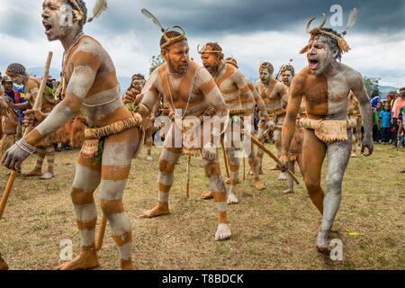 La Papouasie-Nouvelle-Guinée, Eastern Highlands Province, Goroka, Goroka Show festival, danseurs du Moko Moko groupe sing sing Banque D'Images