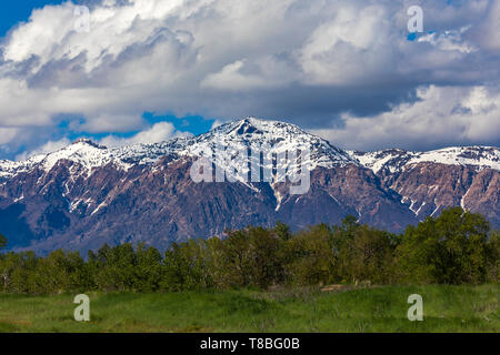 C'est un printemps vue de 9 712 pieds de la montagne Ben Lomond, une vue montagne et pointe sur l'extrémité nord de Ogden, Utah, USA. Banque D'Images