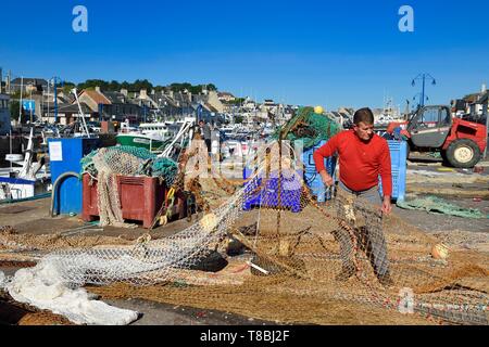 France, Calvados, Cote De Nacre, Port en Bessin, le port de pêche, pêcheur réparant les filets de pêche Banque D'Images