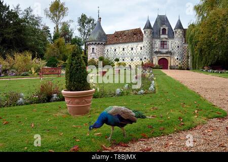 France, Calvados, Pays d'Auge, 15e et 16e siècle de Saint Germain de Livet Château Labellisé Musée de France Banque D'Images