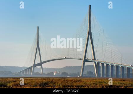 France, Seine Maritime, réserve naturelle de l'estuaire de la Seine et du fret qui passe sous le pont de Normandie, la roselière dans l'avant-plan Banque D'Images