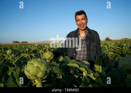 France, Pyrenees Orientales, Canet-en-Roussillon, l'Artichaut du Roussillon, portrait de Ludovic Combacal producteur d'Artichaut de Roussillon (IGP) Banque D'Images