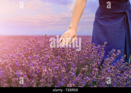 Belle jeune femme touchant au champ de lavande sur journée d'été Banque D'Images