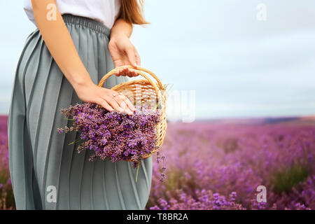 Belle jeune femme avec panier en osier dans champ de lavande sur journée d'été Banque D'Images