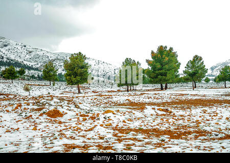 Hiver magnifique panorama de montagnes BOUIBLANE - MAROC, belle nature parmi les montagnes Banque D'Images