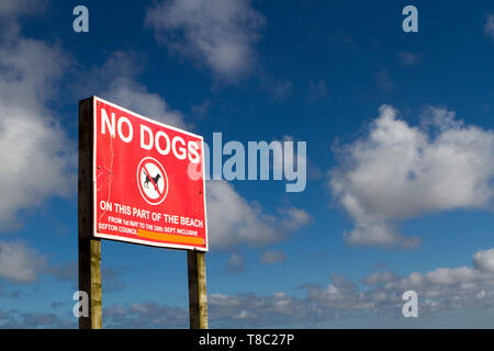 Chiens non admis sur cette partie de la plage fauteuil monté sur le littoral de Southport Merseyside. Banque D'Images