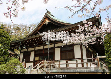 Temple Hokokuji (prendre-dera) est un ancien temple bouddhiste et la destination la plus célèbre à Kamakura, au Japon. Banque D'Images