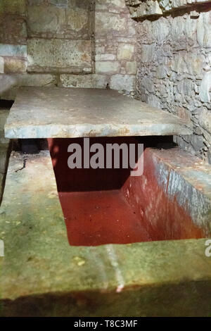 Tombe de Maya, une partie de les ruines maya ; UNESCO World Heritage site, Palenque, Yucatan, Mexique Amérique Latine Banque D'Images