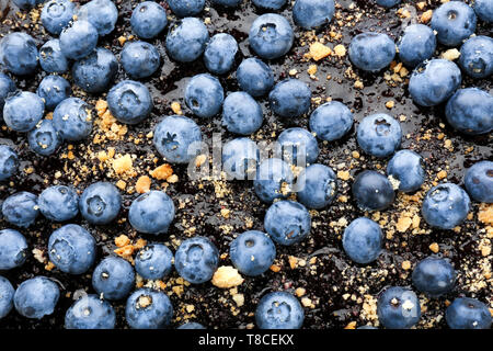 Délicieux gâteau fait maison avec des bleuets, gros plan Banque D'Images