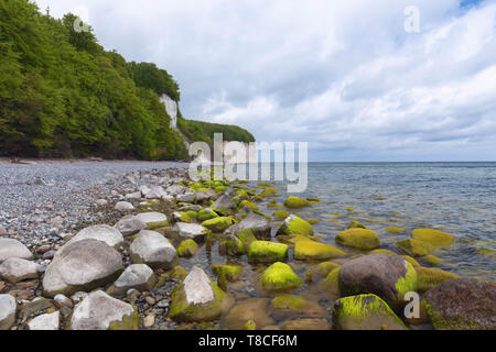 Paysages du littoral de la mer Baltique et dans le parc national de Jasmund, sur l'île de Rügen, en Allemagne Banque D'Images