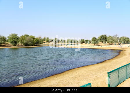 Al qudra Paysage de lacs à la journée, Dubaï, Émirats Arabes Unis Banque D'Images