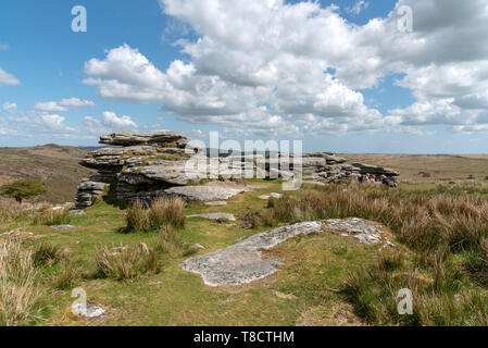 Dartmoor National Park, Devon, Angleterre, Royaume-Uni, mai 2019. Le Combestone Tor à Dartmoor dans le pays de l'ouest de l'Angleterre. Banque D'Images