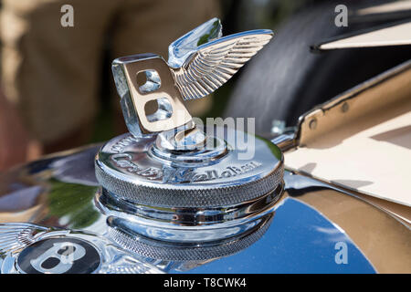 Bentley voiture classique Beaucamp chrome B ailé mascot insigne du bouchon du radiateur / logo insigne au-dessus de la calandre sur un classique Bentley Motor Car. Banque D'Images