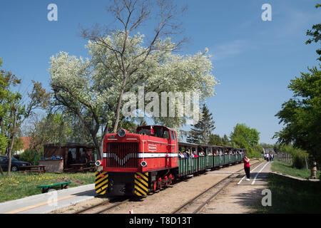 Narrow Gauge Railway Museum à Wenecja, Pologne. 1er mai 2019 © Wojciech Strozyk / Alamy Stock Photo Banque D'Images