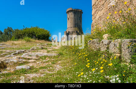 Ruines de la ville antique de Velia avec la mer en arrière-plan, près de Ascea, Cilento, Campanie, Italie. Banque D'Images