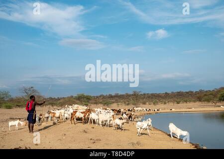 Au Kenya, le lac Magadi, Masai et leurs troupeaux. Banque D'Images