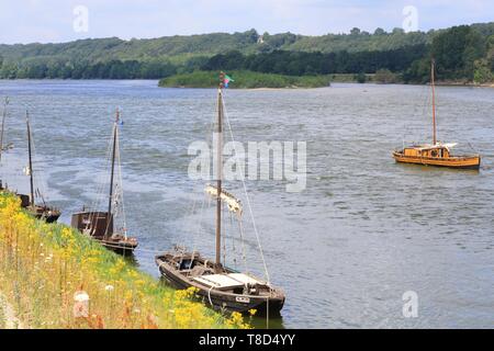 France, Indre et Loire, Vallée de la Loire classée au Patrimoine Mondial de l'UNESCO, Brehemont, fond plat traditionnel des bateaux sur la Loire Banque D'Images