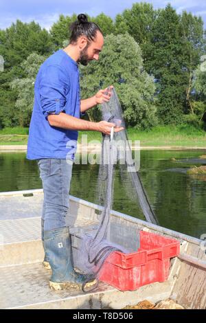 France, Indre et Loire, Vallée de la Loire classée au Patrimoine Mondial de l'UNESCO, Blois, Julien Quesneau (pêcheur professionnel et fondateur de la Bourriche aux Appetits) pêche dans la Loire Banque D'Images