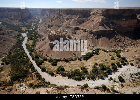Au Yémen, le Gouvernorat de l'Hadramaout, Wadi Do'an, Haid al-Jazil, Canyon Banque D'Images