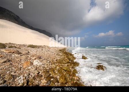 Au Yémen, le Gouvernorat de Socotra, l'île de Socotra, classé au Patrimoine Mondial de l'UNESCO, l'Archer Coral Sand Dunes Banque D'Images