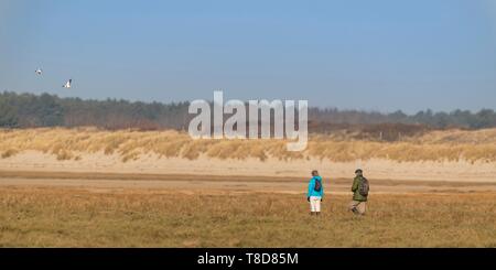 France, Picardie, Baie de Somme, réserve naturelle de la Baie de Somme, Le Crotoy, plages de Maye, poussettes venant d'observer les oiseaux dans la baie de Somme dans la réserve naturelle à marée haute Banque D'Images