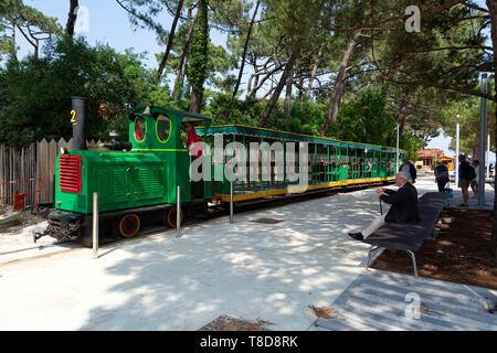 France, Gironde, bassin d'Arcachon, Cap Ferret, France, Gironde (33), bassin d'Arcachon, Le Cap Ferret, le Belisaire, petit train touristique Banque D'Images