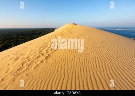 France, Gironde, bassin d'Arcachon, La Teste de Buch, Pyla sur Mer, la Dune du Pilat Banque D'Images