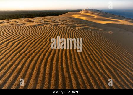 France, Gironde, bassin d'Arcachon, La Teste de Buch, Pyla sur Mer, la Dune du Pilat Banque D'Images