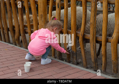 Jeune fille adorable de nourrir les animaux avec une croquette sur une froide journée d'automne sur le ranch. Jolie fille en donnant de la nourriture à l'animal sur une clôture. Banque D'Images