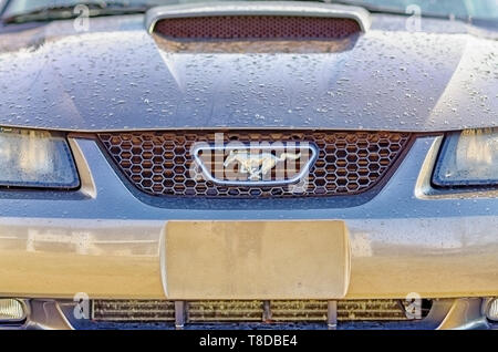 L'eau qui goutte de pluie sur une Ford Mustang après un orage d'été. Banque D'Images