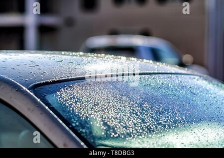 La lumière du soleil qui se reflète sur minuscules gouttes d'eau/gouttelettes, abandonnés par un orage d'été, et le toit et le pare-brise arrière d'une Ford Mustang GT Coupé. Banque D'Images