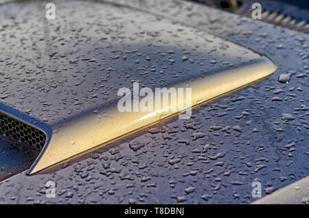 Le capot/bonnet d'un 2001 Ford Mustang GT coupe couverte dans l'eau de pluie et la poussière qui était présent dans l'air et arrosé pendant un orage d'été. Banque D'Images