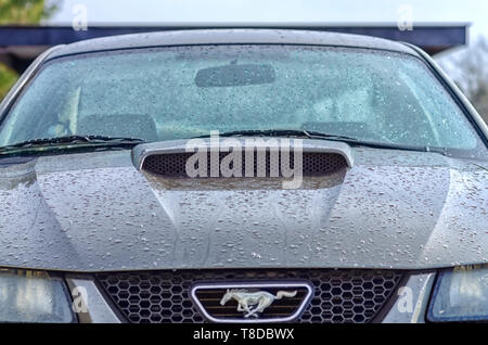 L'eau qui goutte de pluie sur un 2001 Ford Mustang GT Coupé après un orage d'été. La lumière se reflétant sur de minuscules gouttelettes d'eau sont également visibles dans l'image. Banque D'Images