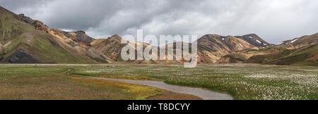 L'Islande, Région du Sud, la Réserve Naturelle de Fjallabak, paysage Landmanalaugar Banque D'Images