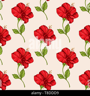 Motif transparent tropical avec des fleurs d'hibiscus rouge. Hand drawn vintage. Banque D'Images
