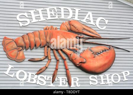 Canada, Nouveau-Brunswick, Acadie, comté de Westmorland, à Shediac (auto-proclamée capitale mondiale du homard), Shediac Lobster Shop, du homard frais vendeur Banque D'Images