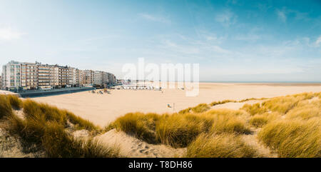 Très belle vue panoramique de la plage de Zeebrugge avec dunes de sable et les bâtiments de l'hôtel sur une journée ensoleillée avec ciel bleu, Flandre orientale, Belgique Banque D'Images