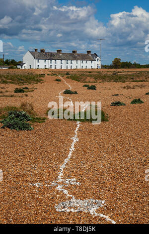 Les coquilles de la ligne principale de la côte du Suffolk, à Shingle street uk Banque D'Images