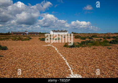 Les coquilles de la ligne principale de la côte du Suffolk, à Shingle street uk Banque D'Images