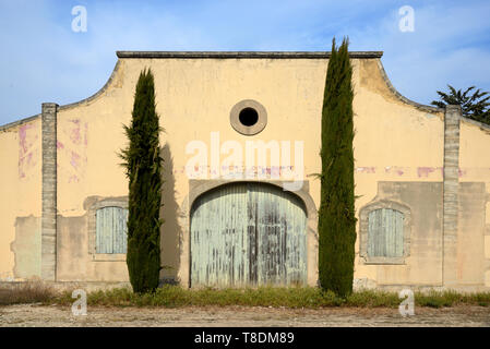 Vieille porte encadrée par deux Cyprès d'un ancien domaine viticole ou l'entrepôt près de Menerbes Luberon Provence France Banque D'Images