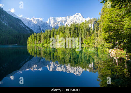 Belle vue paisible matin de Laghi di célèbre Fusinee dans la pittoresque ville de lumière du matin au lever du soleil, province d'Udine, Frioul-Vénétie Julienne, dans le nord de l'Ital Banque D'Images