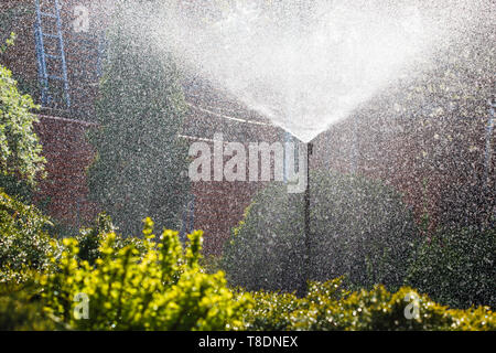 Système d'irrigation de l'eau dans les sprays accueil jardin. Banque D'Images