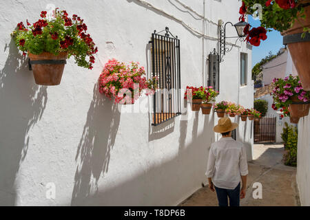 Fleurs en pot et street, typique village blanc de Mijas. Costa del Sol, Malaga province. Andalousie, Espagne du sud Europe Banque D'Images