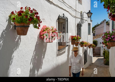 Fleurs en pot et street, typique village blanc de Mijas. Costa del Sol, Malaga province. Andalousie, Espagne du sud Europe Banque D'Images