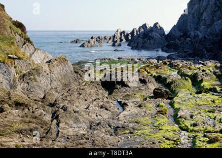 La bouche de Bennett, Bull Point, North Devon, UK Banque D'Images